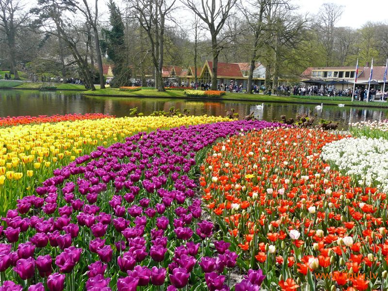 Амстердам в апреле